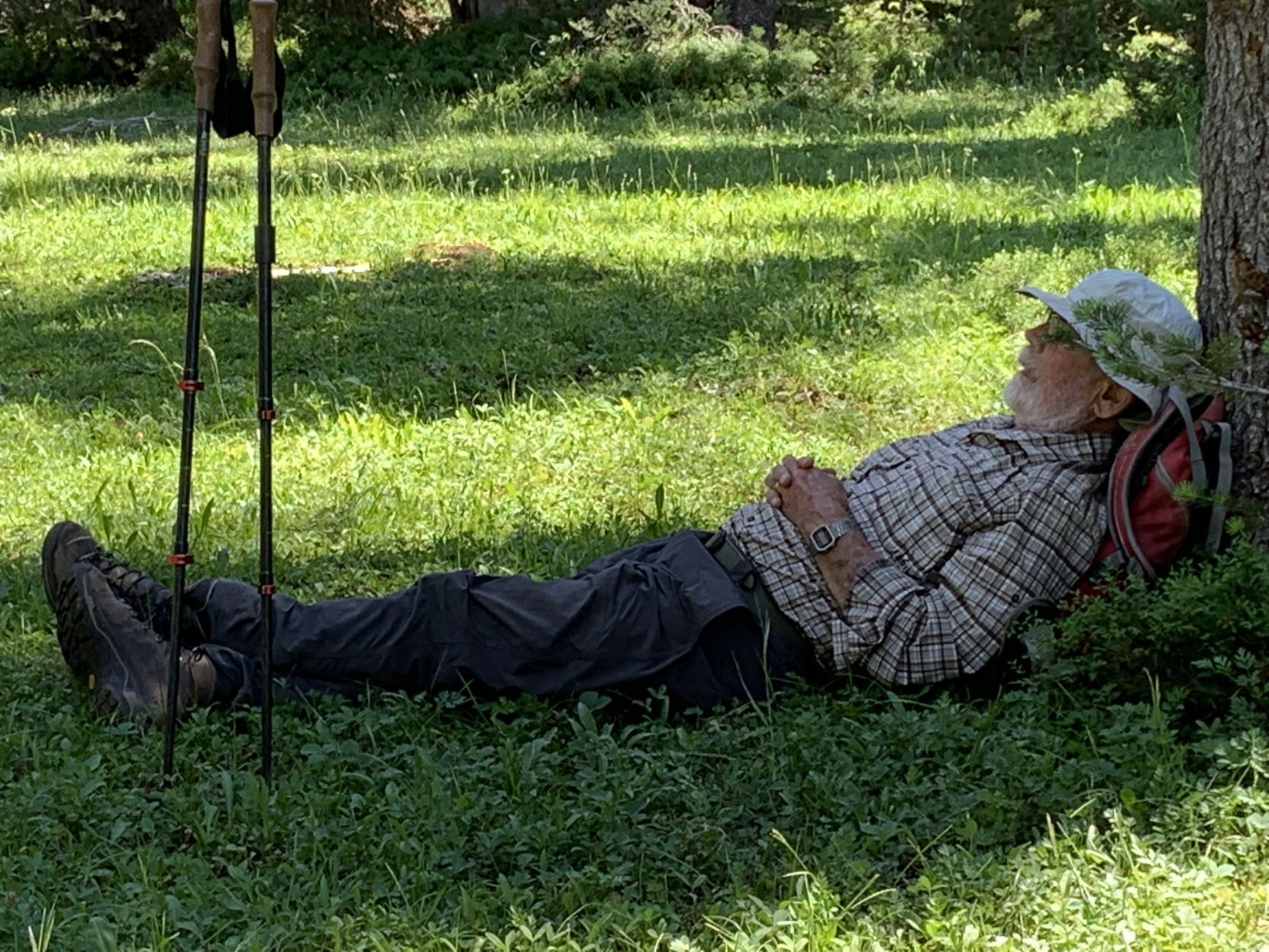 Van Moorham nap